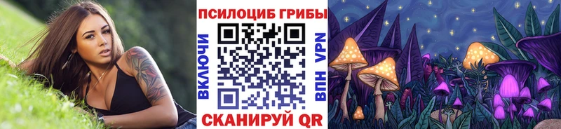 где найти   мега как зайти  Псилоцибиновые грибы GOLDEN TEACHER  Усть-Катав 